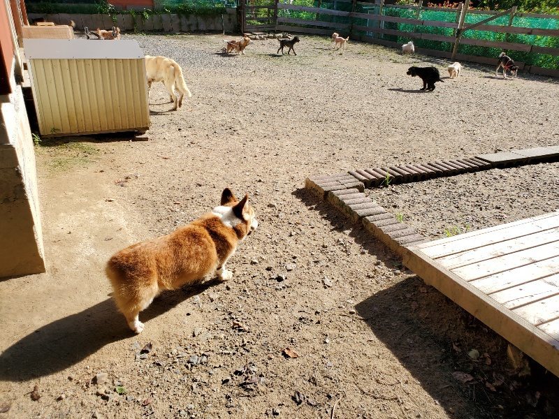 f:id:roukenhome-ann:20190909192638j:plain