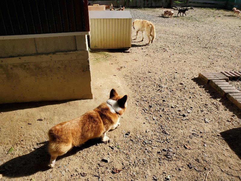 f:id:roukenhome-ann:20190909192646j:plain