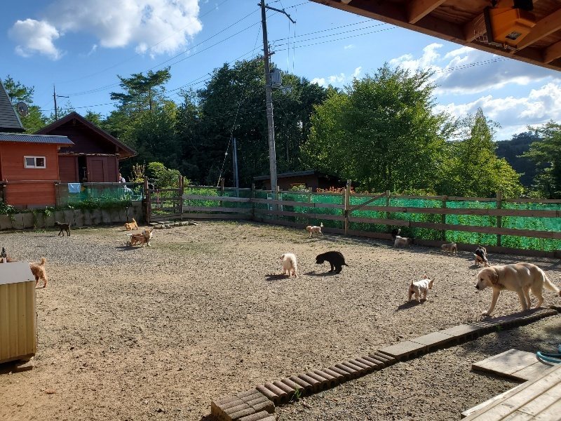 f:id:roukenhome-ann:20190909192656j:plain
