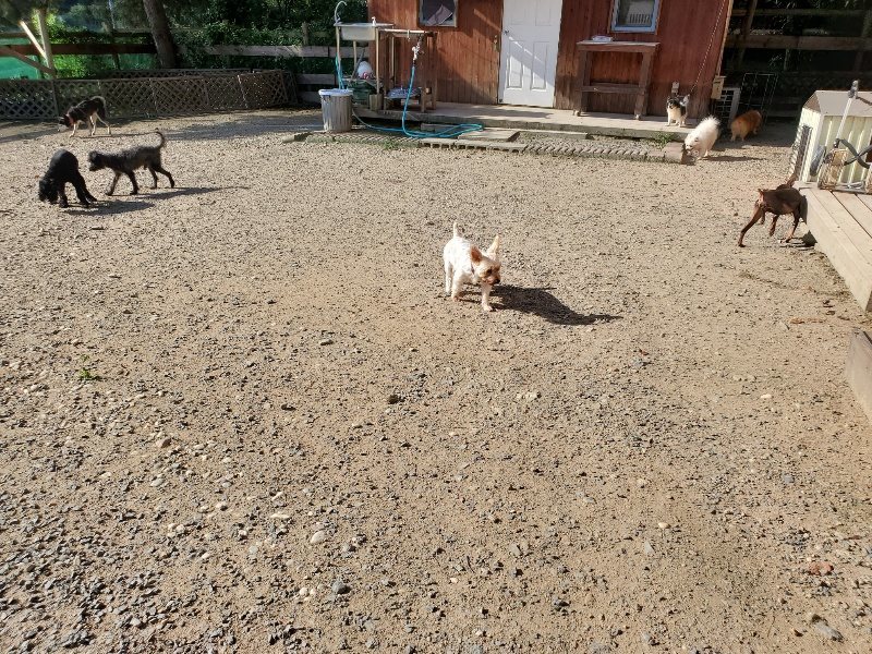 f:id:roukenhome-ann:20190909195649j:plain
