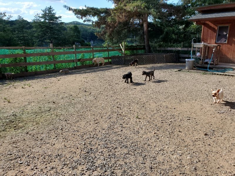 f:id:roukenhome-ann:20190909195656j:plain