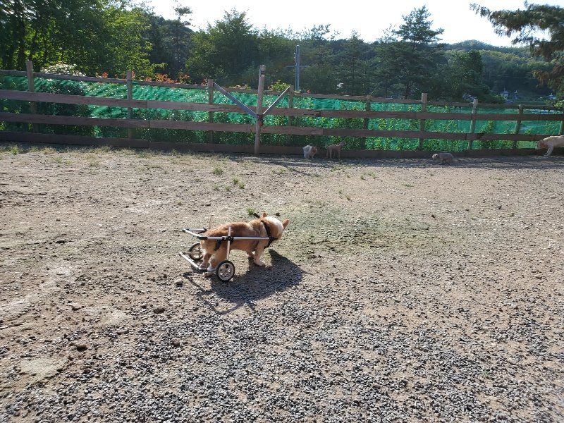 f:id:roukenhome-ann:20190909195704j:plain
