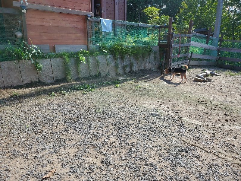 f:id:roukenhome-ann:20190909195712j:plain