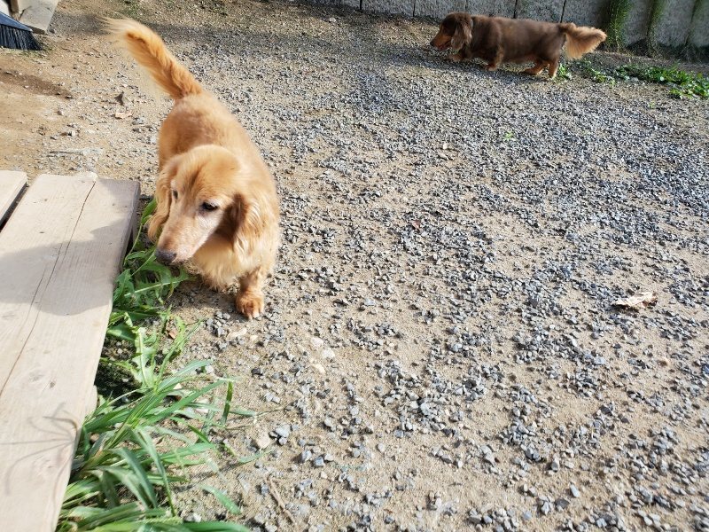 f:id:roukenhome-ann:20190909195720j:plain