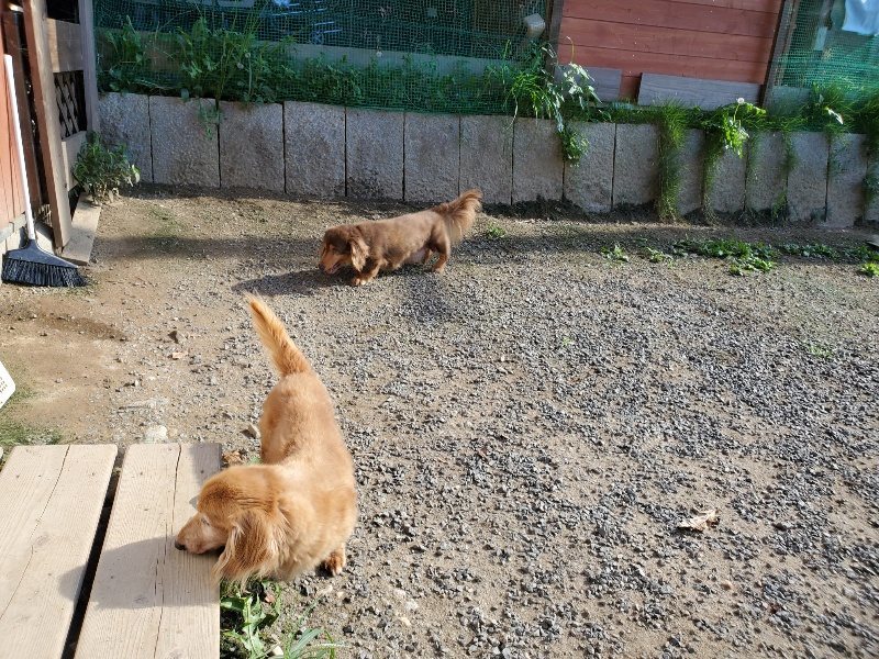 f:id:roukenhome-ann:20190909195729j:plain
