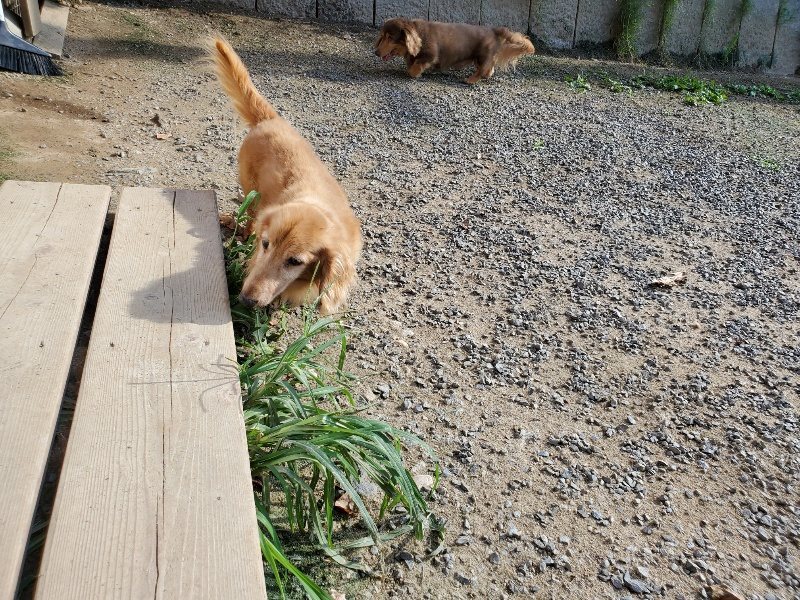f:id:roukenhome-ann:20190909195739j:plain