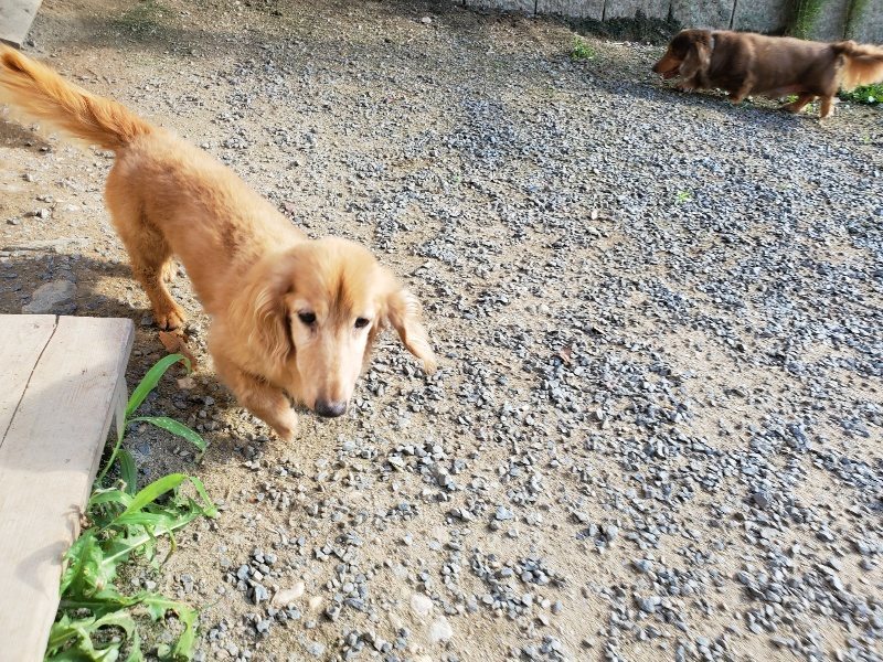 f:id:roukenhome-ann:20190909195748j:plain