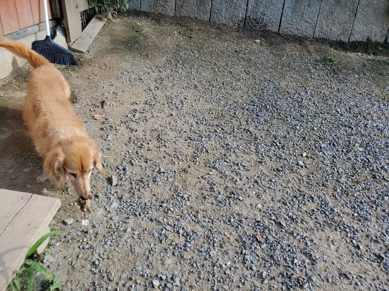 f:id:roukenhome-ann:20190909195806j:plain