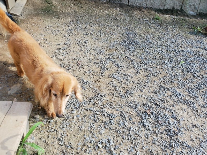 f:id:roukenhome-ann:20190909195813j:plain