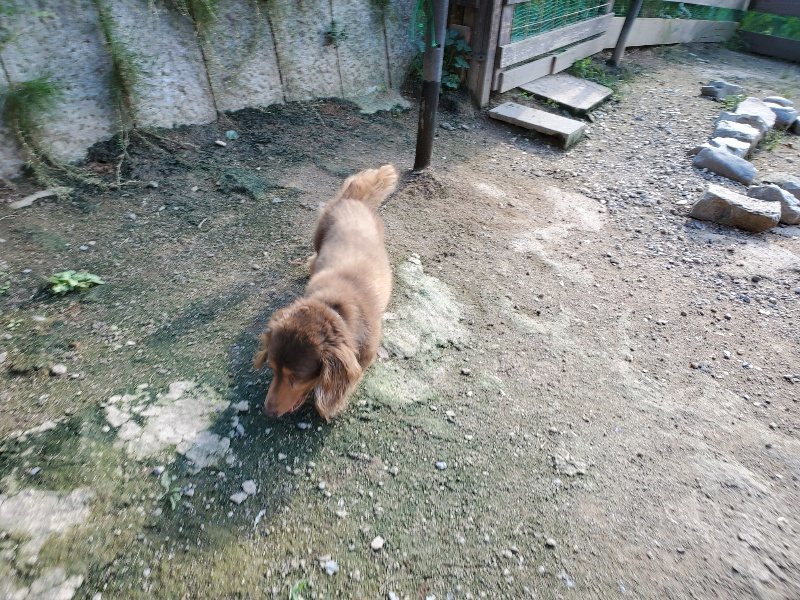 f:id:roukenhome-ann:20190909195822j:plain