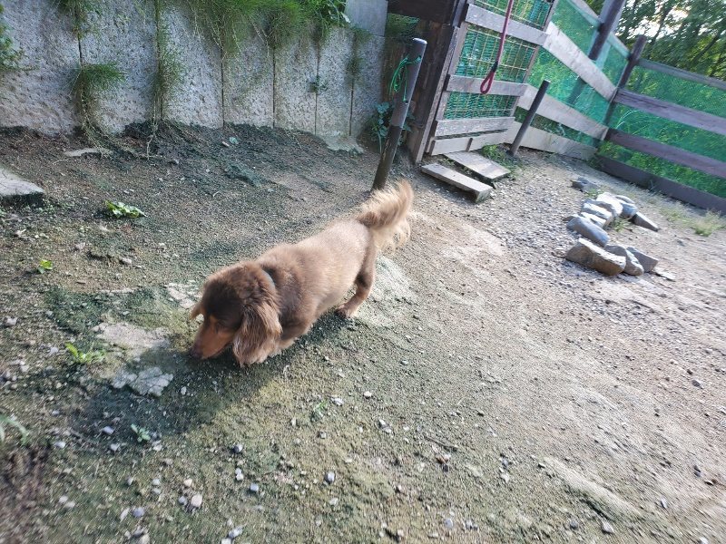 f:id:roukenhome-ann:20190909195830j:plain