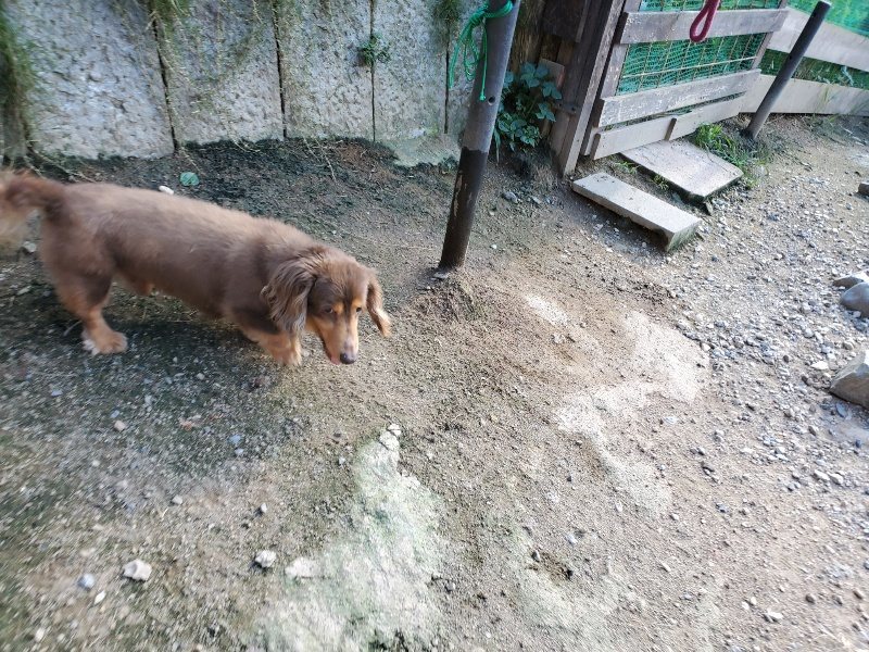 f:id:roukenhome-ann:20190909195844j:plain