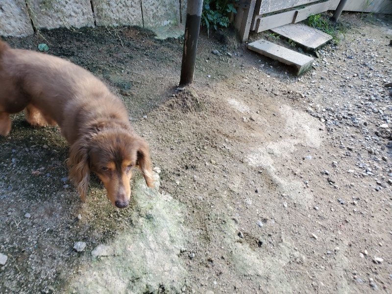f:id:roukenhome-ann:20190909195851j:plain