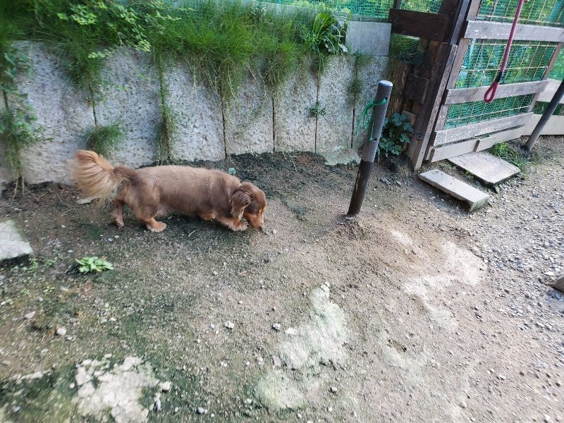 f:id:roukenhome-ann:20190909195858j:plain