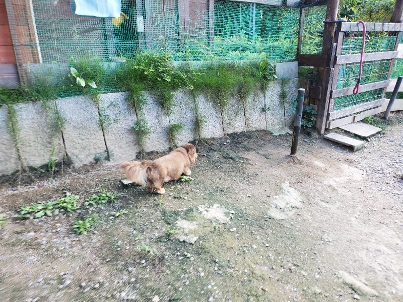 f:id:roukenhome-ann:20190909195906j:plain