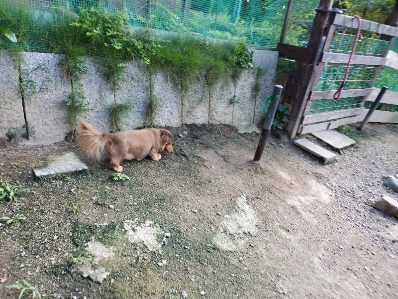 f:id:roukenhome-ann:20190909195914j:plain
