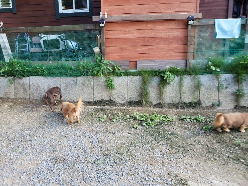 f:id:roukenhome-ann:20190909195923j:plain