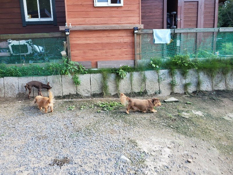 f:id:roukenhome-ann:20190909195930j:plain