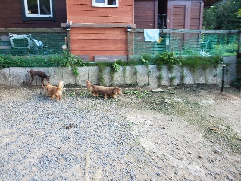 f:id:roukenhome-ann:20190909195937j:plain