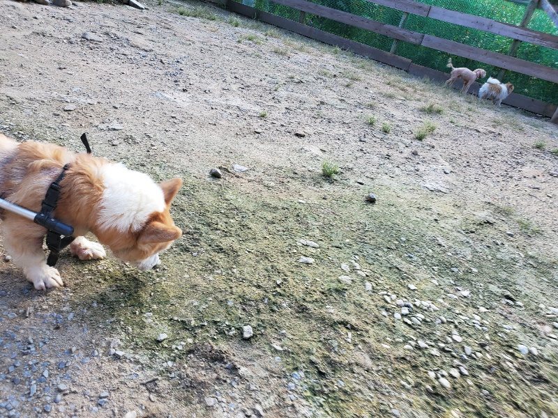 f:id:roukenhome-ann:20190909195944j:plain