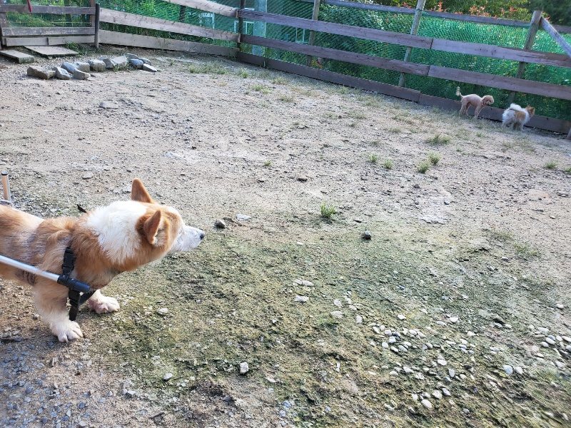 f:id:roukenhome-ann:20190909195950j:plain