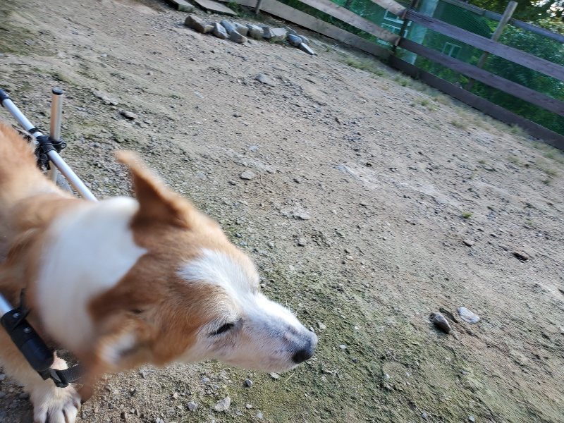 f:id:roukenhome-ann:20190909200010j:plain