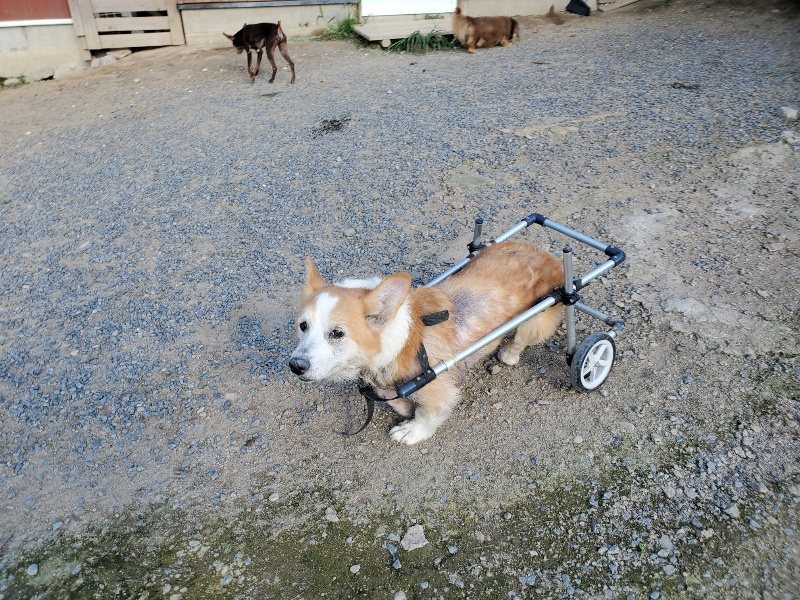f:id:roukenhome-ann:20190909200027j:plain