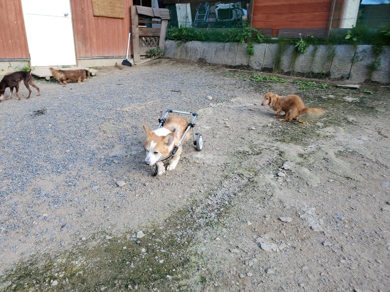 f:id:roukenhome-ann:20190909200035j:plain