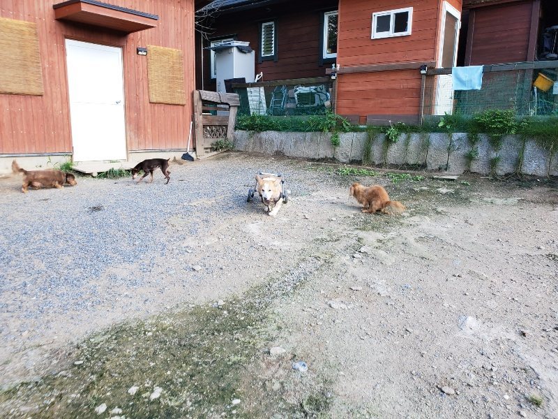 f:id:roukenhome-ann:20190909200041j:plain