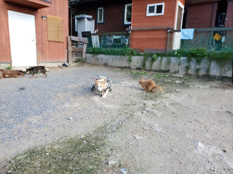 f:id:roukenhome-ann:20190909200047j:plain