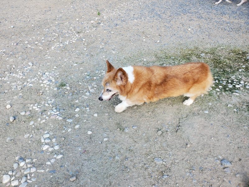f:id:roukenhome-ann:20190909200102j:plain