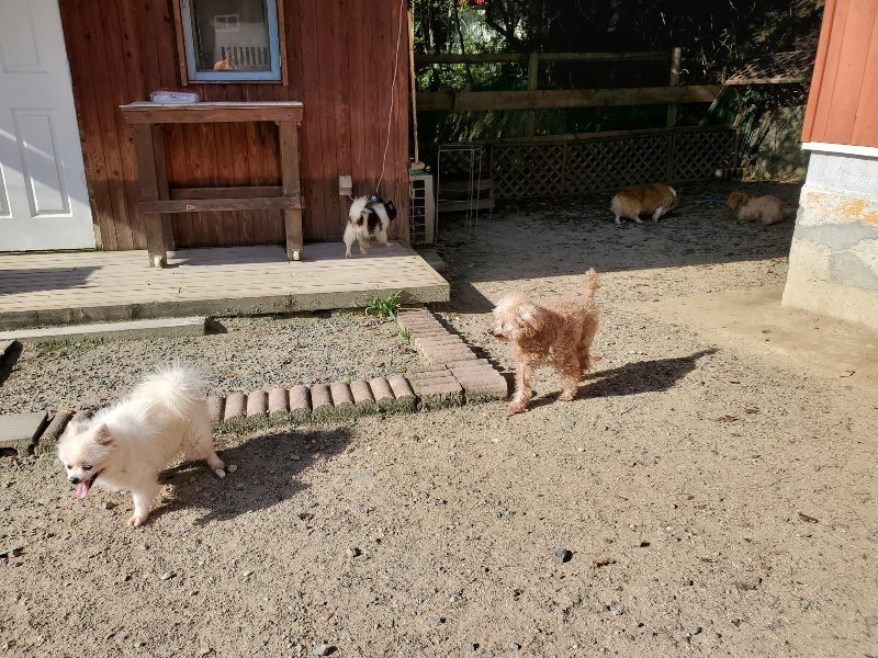 f:id:roukenhome-ann:20190909200110j:plain