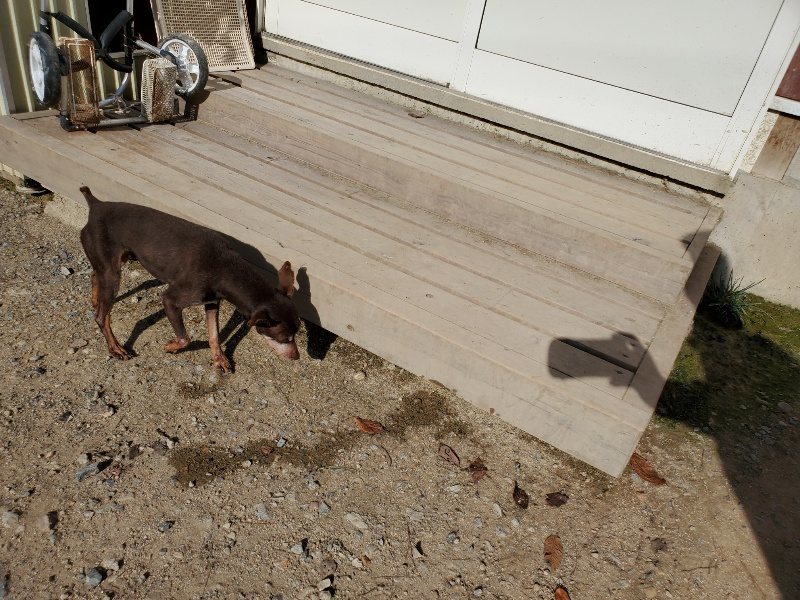 f:id:roukenhome-ann:20190909200133j:plain