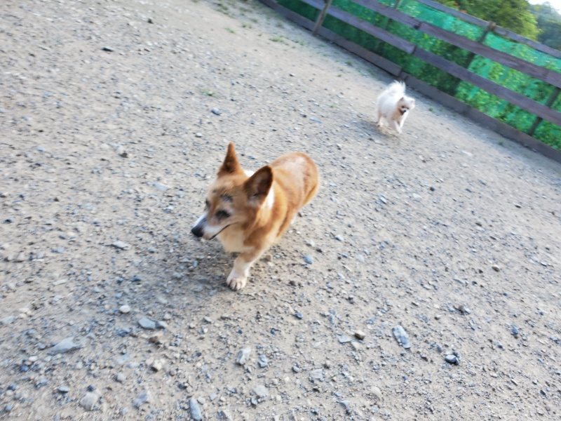 f:id:roukenhome-ann:20190909201347j:plain