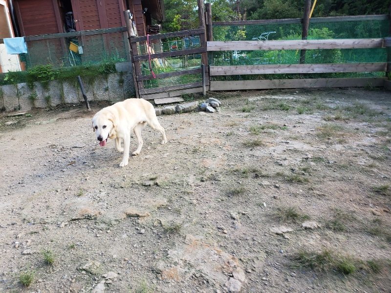 f:id:roukenhome-ann:20190909201354j:plain