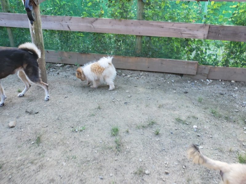 f:id:roukenhome-ann:20190909201409j:plain