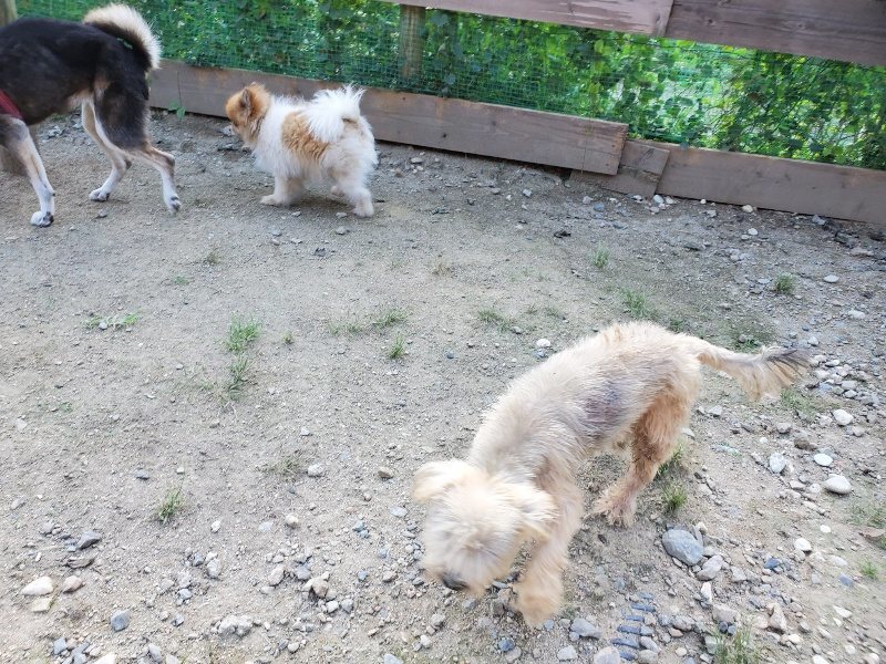 f:id:roukenhome-ann:20190909201423j:plain