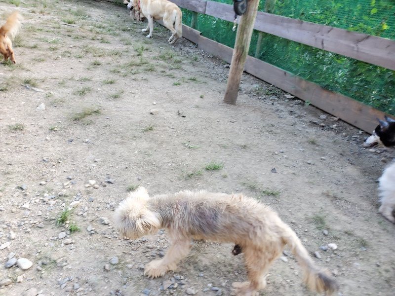 f:id:roukenhome-ann:20190909201445j:plain