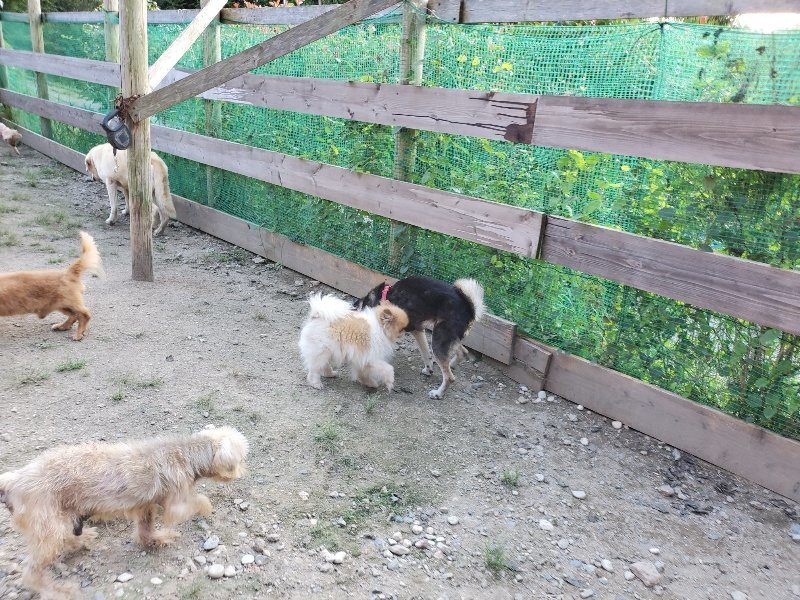 f:id:roukenhome-ann:20190909201452j:plain