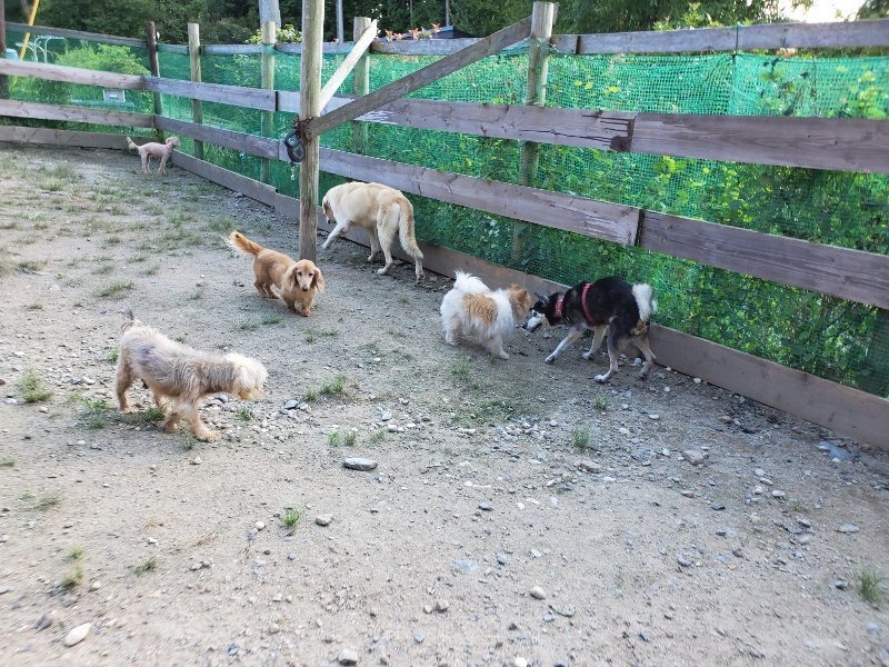 f:id:roukenhome-ann:20190909201511j:plain
