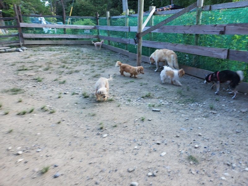 f:id:roukenhome-ann:20190909201528j:plain
