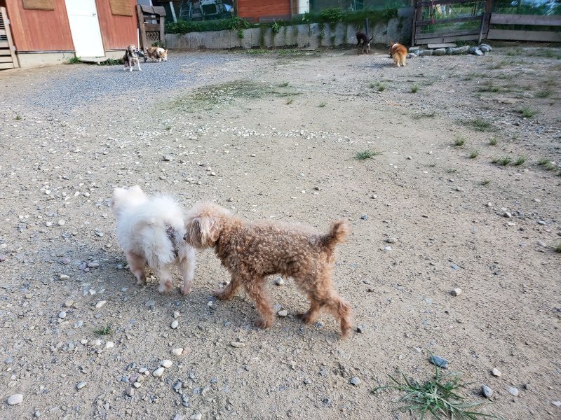 f:id:roukenhome-ann:20190909201534j:plain