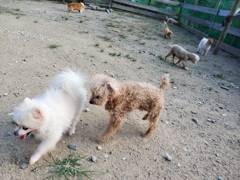 f:id:roukenhome-ann:20190909201602j:plain