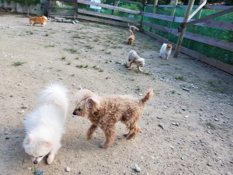 f:id:roukenhome-ann:20190909201610j:plain