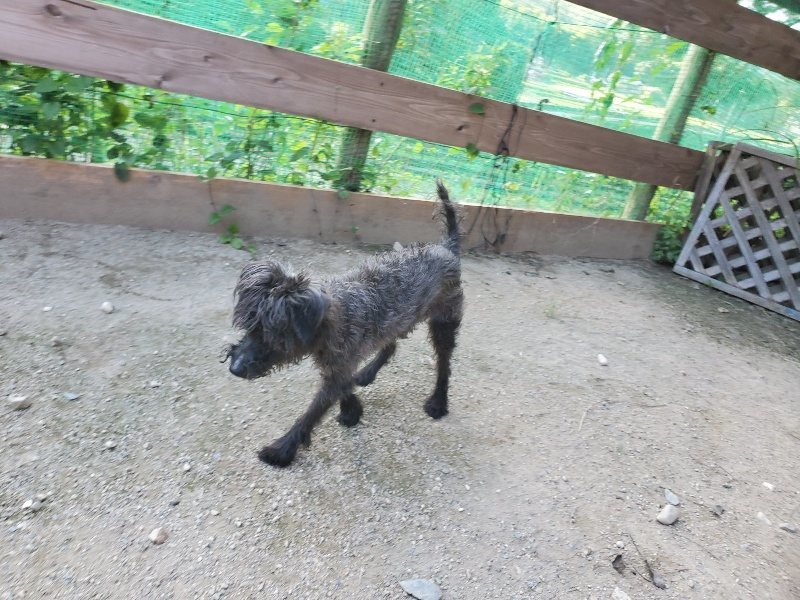 f:id:roukenhome-ann:20190909201624j:plain