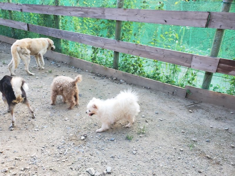 f:id:roukenhome-ann:20190909201659j:plain
