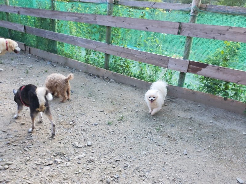 f:id:roukenhome-ann:20190909201705j:plain