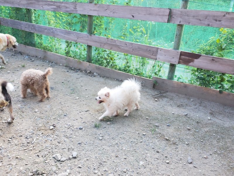 f:id:roukenhome-ann:20190909201716j:plain
