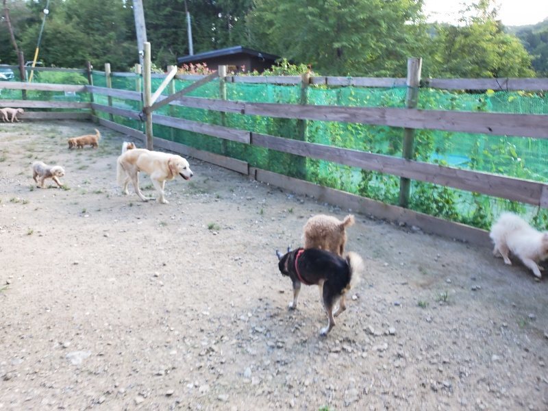 f:id:roukenhome-ann:20190909201722j:plain