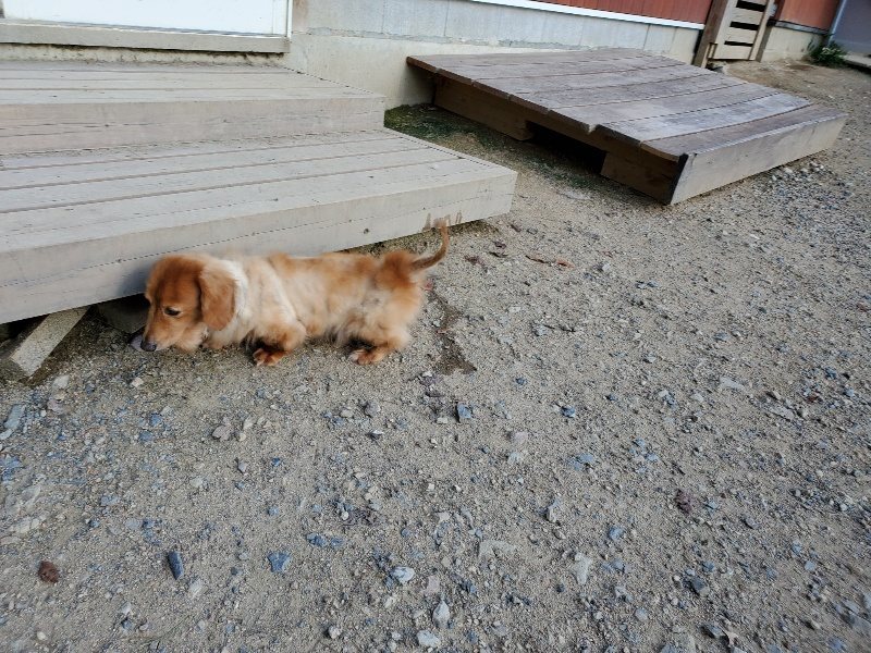 f:id:roukenhome-ann:20190909201813j:plain